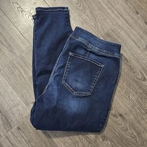 Lane Bryant Skinny Jeans